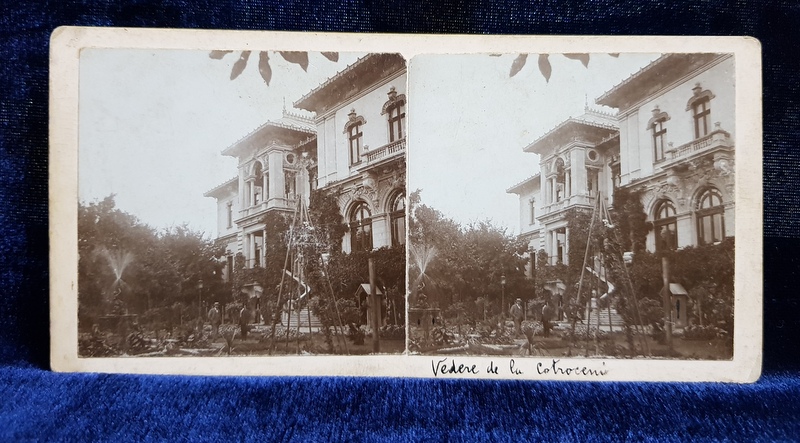 BUCURESTI , VEDERE DIN GRADINA PALATULUI DE LA COTROCENI , FOTOGRAFIE STEREOSCOPICA , MONOCROMA , PE SUPORT DE CARTON , CCA. 1900