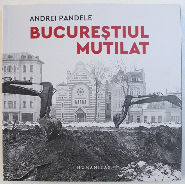 BUCURESTIUL MUTILAT de ANDREI PANDELE , 2018