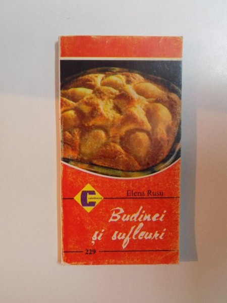 BUDINCI SI SUFLEURI de ELENA RUSU , 1997