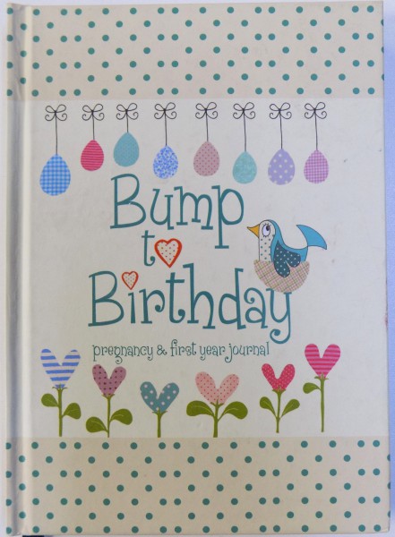 BUMP TO BIRTHDAY  - PREGNANCY & FIRST YEAR JOURNAL , 2013