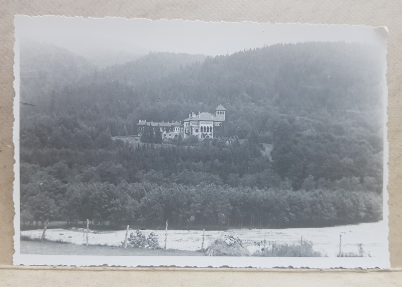 BUSTENI , CASTELUL CANTACUZINO  VAZUT DE DEPARTE , FOTOGRAFIE TIP CARTE POSTALA , STUDIO KLEIN , BRAILA , MONOCROMA, DATATA 19 IULIE 1933