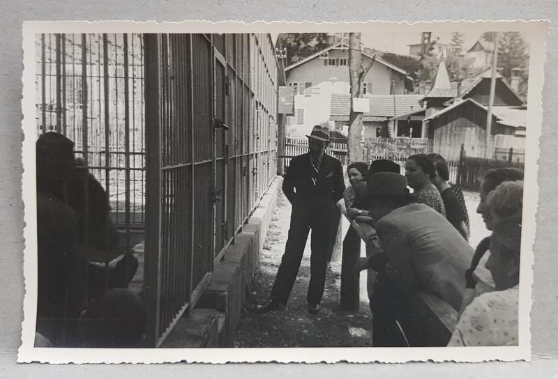 BUSTENI  , VIZITATORI IN GRADINA ZOOLOGICA , FOTOGRAFIE TIP CARTE POSTALA , FOTOGRAF PETRE NESTOR , BRAILA , MONOCROMA, NECIRCULATA , DATATA 1935