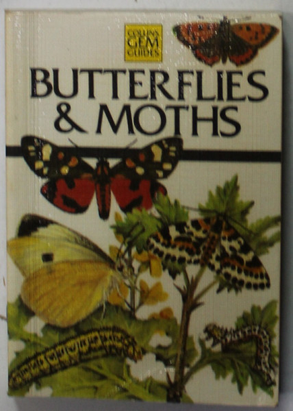 BUTTERFLIES AND MOTHS by BRIAN HARGREAVES and MICHAEL CHINERY , 1981
