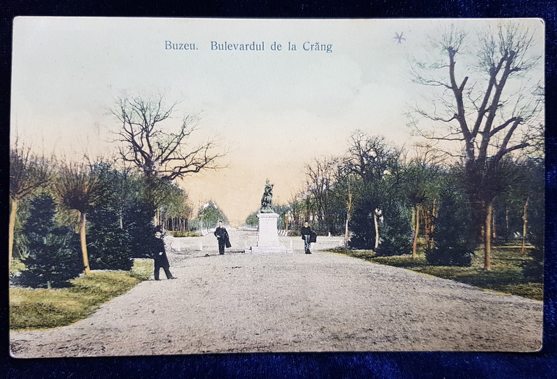 BUZAU  - BULEVARDUL DE LA CRANG , CARTE POSTALA ILUSTRATA ,POLICROMA , CIRCULATA  , CCA 1900