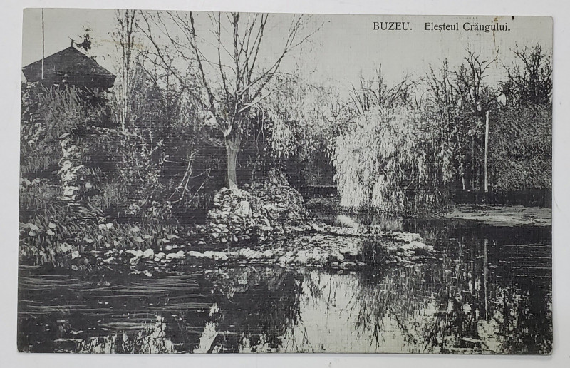 BUZAU , HELESTEUL CRANGULUI , CARTE POSTALA ILUSTRATA , 1913