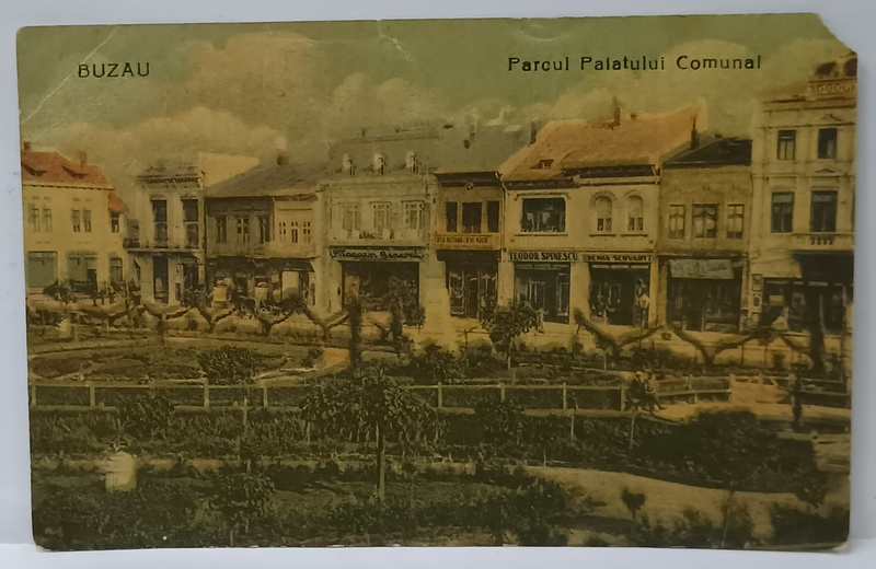BUZAU , PARCUL PALATULUI COMUNAL , CARTE POSTALA , 1927 , LIPSA  UN COLT