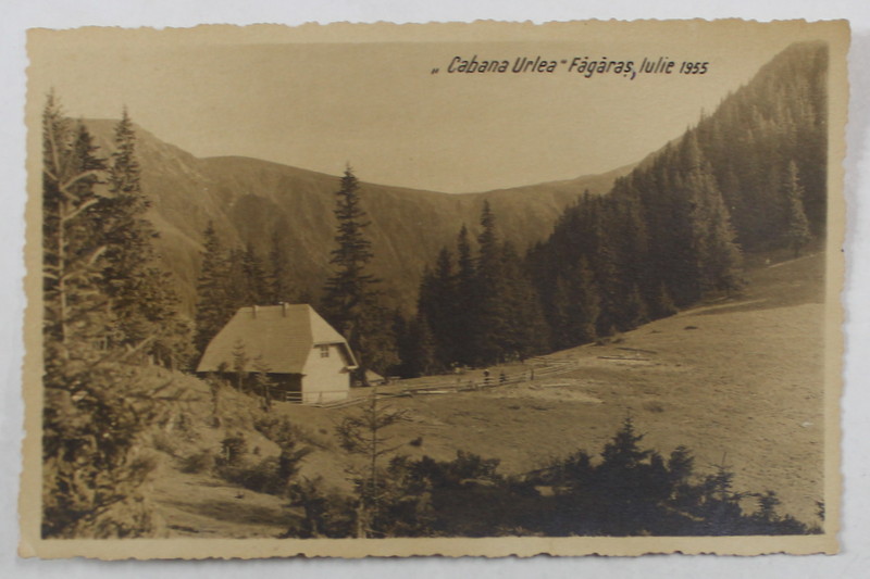 CABANA URLEA , FAGARAS , CARTE POSTALA , IULIE , 1955
