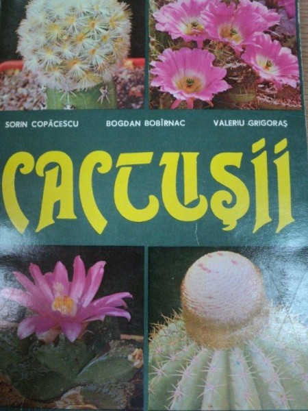 CACTUSII- SORIN COPACESCU, BOGDAN BABIRNAC SI VALERIU GRIOGORAS, CRAIOVA 1984