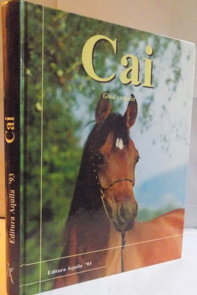 CAI , GHID COMPLET , 2001