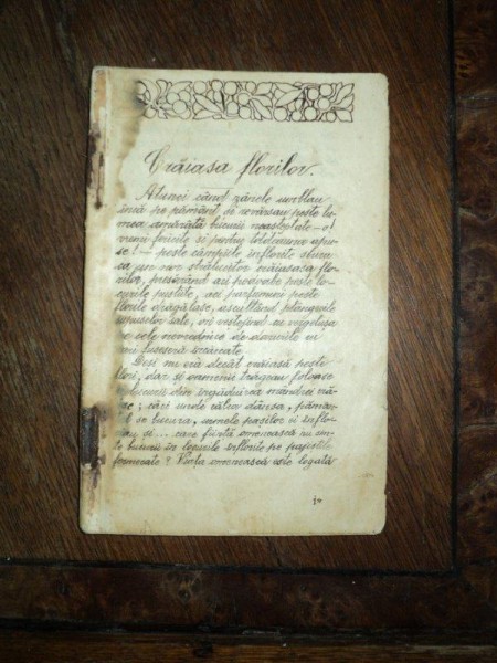 Caiet manuscris, Craiasa florilor Stelian Raducanu