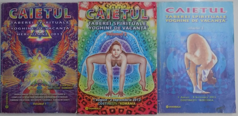 CAIETUL TABEREI SPIRITUALE , VOL I-III , 2011-2013
