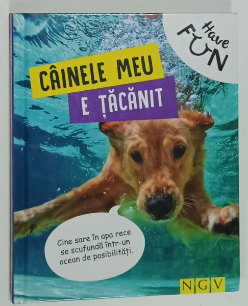 CAINELE MEU E TACANIT , ANII '2000