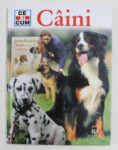 CAINI de PETER TEICHMANN , ilustratii de JOHANN BRANDSTETTER , 2008