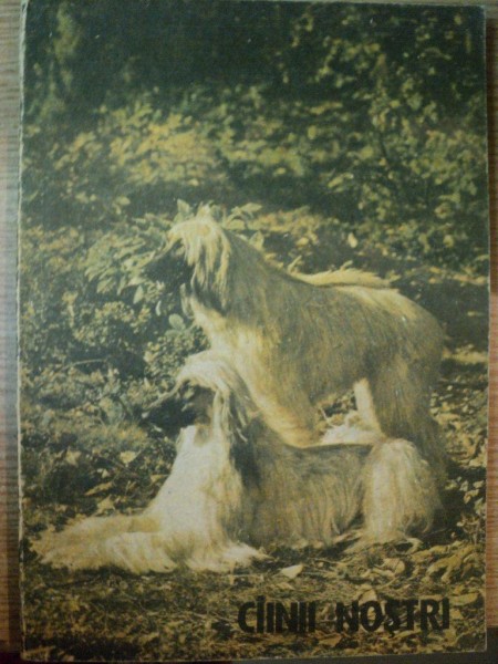 CAINII NOSTRI , NR. 2 de ZOE DUMITRESCU-BUSULEANGA ... NICOLAE STRAVOIU , 1989