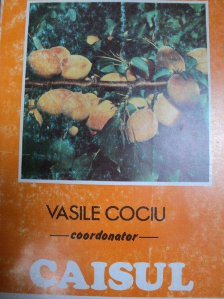 CAISUL - VASILE COCIU, BUC.1993