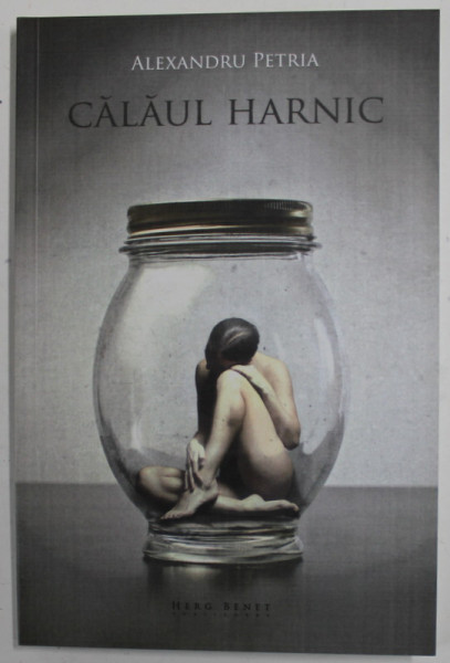 CALAUL HARNIC de ALEXANDRU PETRIA , versuri , 2012