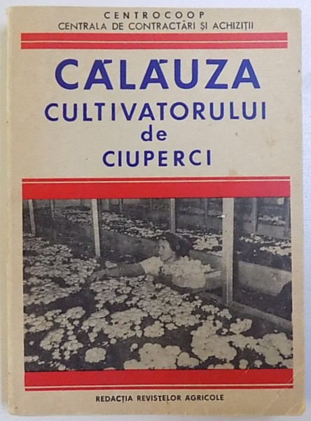 CALAUZA CULTIVATORULUI DE CIUPERCI de N. MATEESCU si V. BENEA , 1972