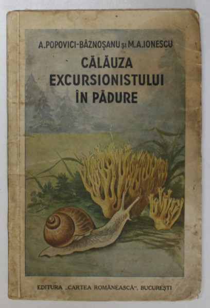 CALAUZA EXCURSIONISTULUI IN PADURE de A. POPOVICI - BAZNOSANU , M.A. IONESCU , 1937 , PREZINTA PETE
