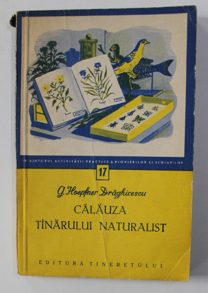 CALAUZA TANARULUI NATURALIST de G. HOEPFNER DRAGHICESCU , 1957