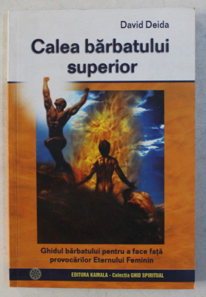 CALEA BARBATULUI SUPERIOR  - GHIDUL BARBATULUI PENTRU A FACE FATA PROVOCARILOR ETERNULUI FEMININ de DAVID DEIDA , 2007