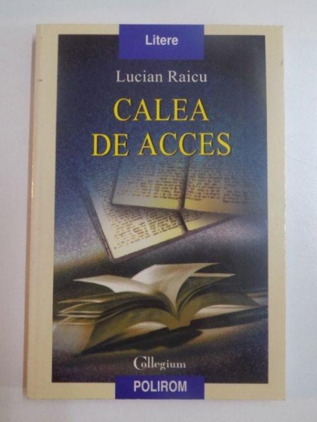 CALEA DE ACCES de LUCIAN RAICU , 2004