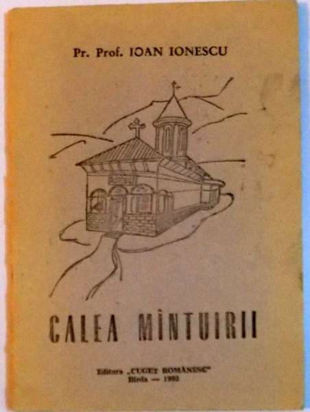 CALEA MANTUIRII , 1992