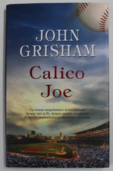 CALICO JOE de JOHN GRISHAM , 2013