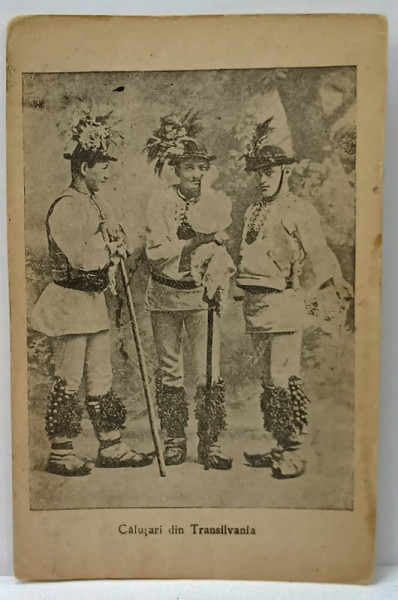 CALUSARI DIN TRANSILVANIA , CARTE POSTALA ILUSTRATA , INCEPUT DE SEC. XX