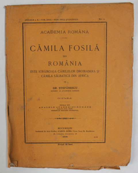 CAMILA FOSILA DIN ROMANIA de GR. STEFANESCU , CU 3 TABLE , 1909