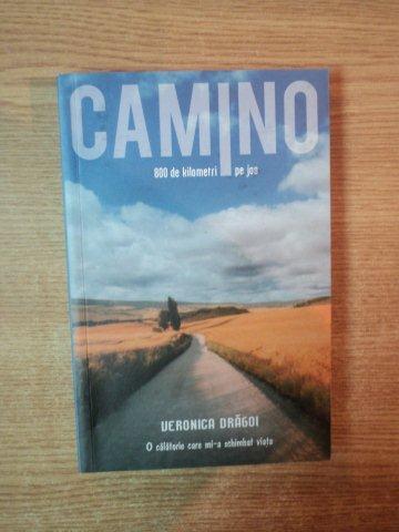 CAMINO . O CALATORIE CARE MI-A SCHIMBAT VIATA de VERONICA DRAGOI , 2009