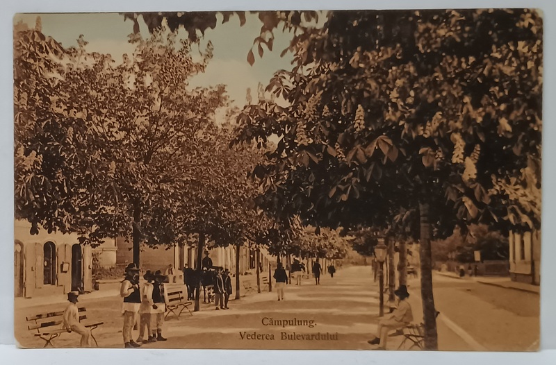 CAMPULUNG MUSCEL , VEDERE DE PE BULEVARD , CARTE POSTALA , 1914
