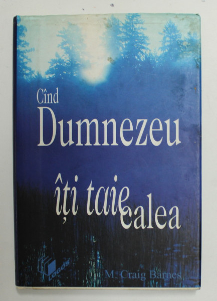 CAND DUMNEZEU ITI TAIE CALEA de M. CRAIG BARNES , 2002