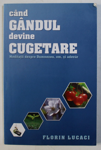 CAND GANDUL DEVINE CUGETAREA - MEDITATII DESPRE DUMNEZEU , OM SI ADEVAR de FLORIN LUCACI , 2005