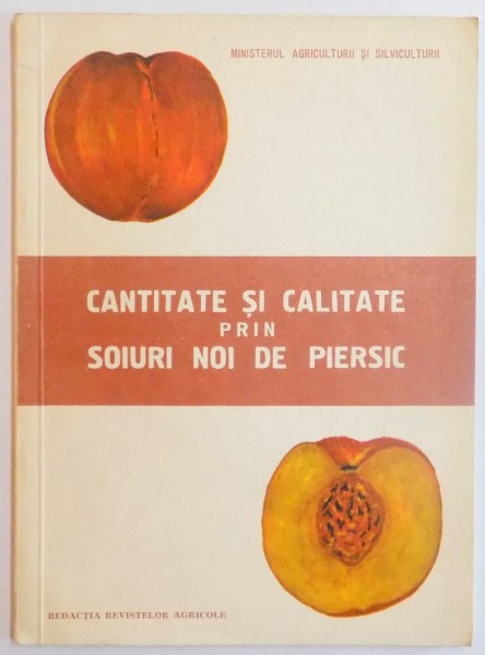 CANTITATE SI CALITATE PRIN SOIURI NOI DE PIERSIC , 1970
