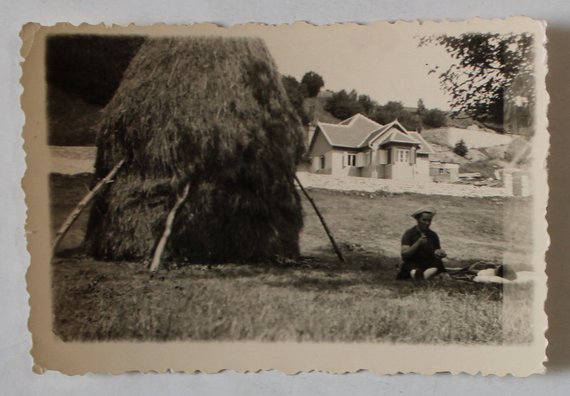 CARANSEBES , CASA DOMNULUI TARANU VAZUTA DE LA RAU , FOTOGRAFIE , 1938