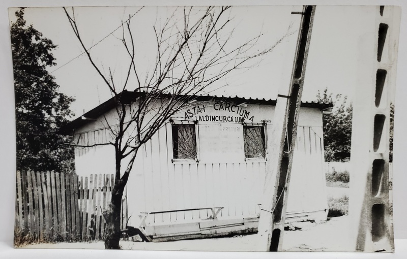 CARCIUMA ' LALDINCURCA LUME ' , DRAGAICA , FOTOGRAFIE DE PRESA , ANII '90