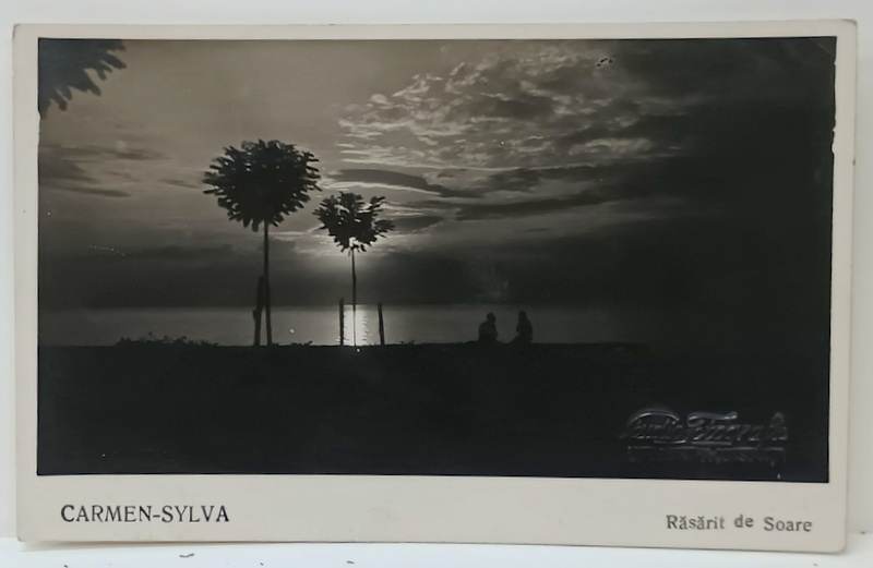 CARMEN - SYLVA , RASARIT , STUDIO LUPU si BARTHA , CONSTANTA , FOTOGRAFIE FORMAT CARTE POSTALA , 1927