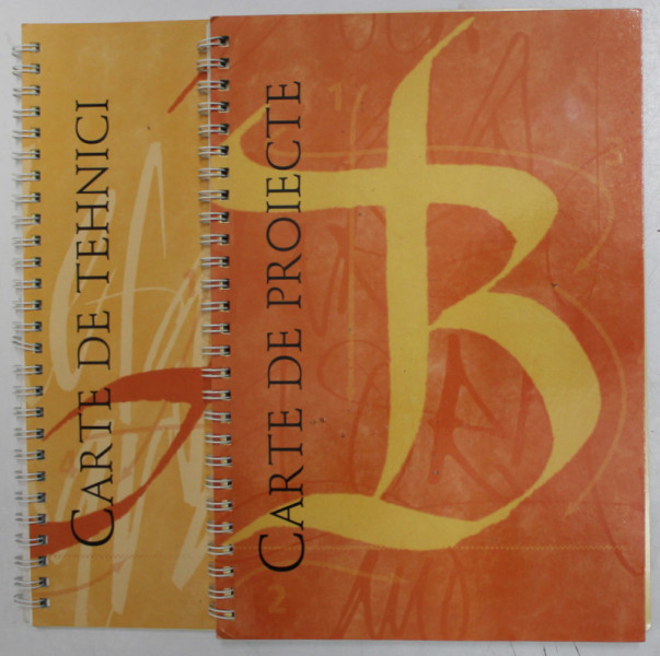 CARTE DE PROIECTE / CARTE DE TEHNICI , ARTA CALIGRAFIEI , 2 VOLUME , de ANN BOWEN , 2006