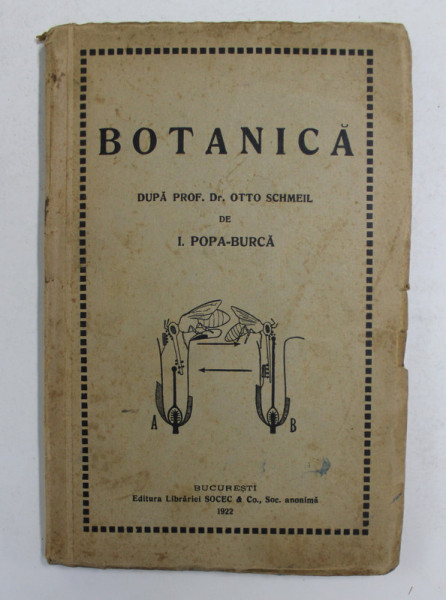 CARTE ELEMENTARA DE BOTANICA PENTRU CLASA II -A SECUNDARA de I. POPA BURCA , 1922