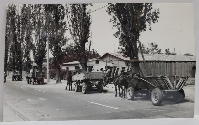 CARUTE IN FATA UNUI DEPOZIT DE MATERIALE DE CONSTRUCTII , FOTOGRAFIE , INCEPUTUL ANILOR ' 90