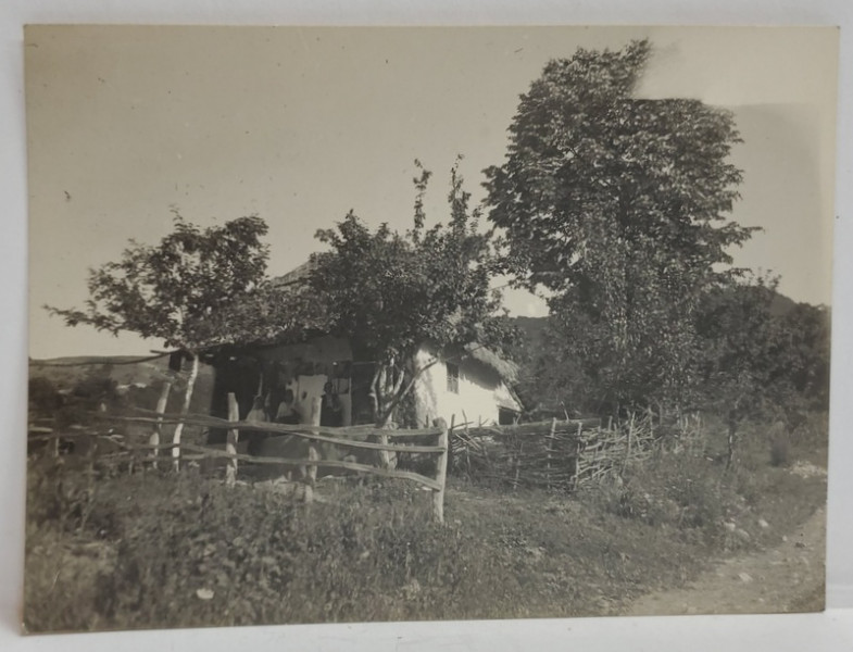 CASA DIN RAIUT , CARTE POSTALA DECUPATA , INTERBELICA