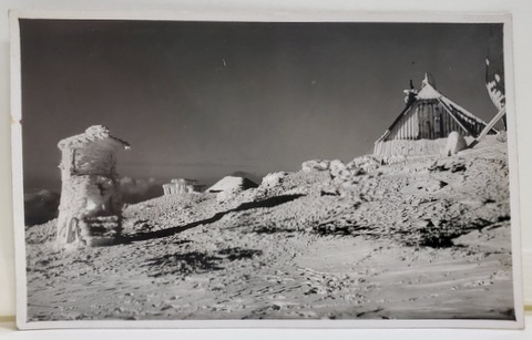 CASA OMUL , '' MIHAI HARET '' DIN BUCEGI , FOTO ORIG. E. FISCHER , SIBIU , TIP CARTE POSTALA , INTERBELICA