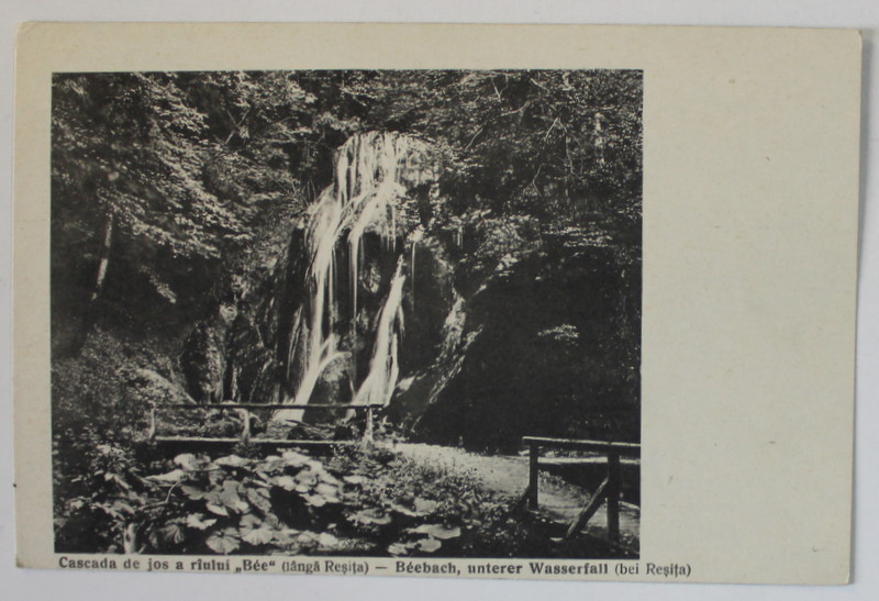 CASCADA DE JOS A RAULUI '' BEE '' LANGA RESITA , CARTE POSTALA ILUSTRATA , INCEPUTUL SEC. XX