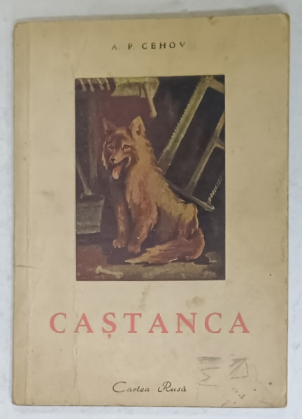 CASTANCA de A.P. CEHOV , un portret de PERAHIM  1949
