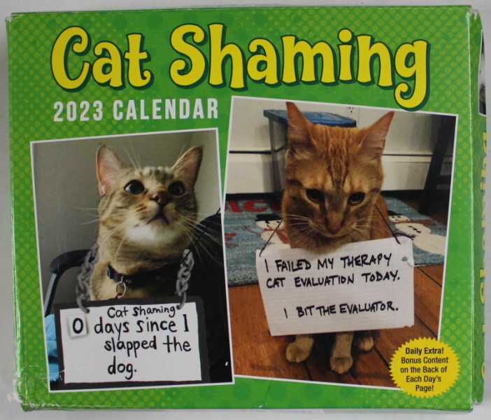 CAT SHAMING , CALENDAR , 2023