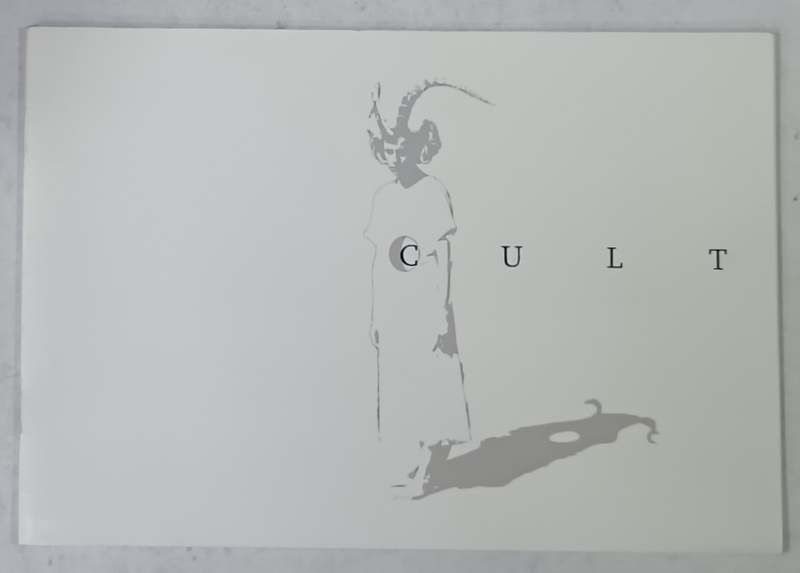 CATALIN PETRISOR , PICTURA , CATALOG DE EXPOZITIE , TEXT IN ROMANA SI ENGLEZA , 2006