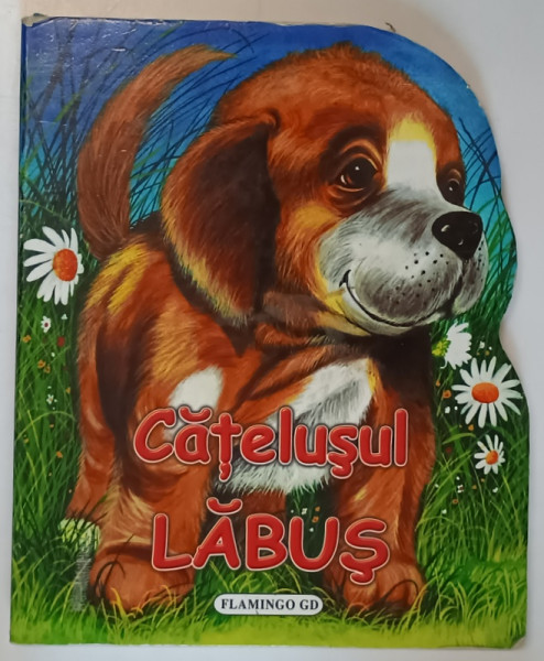 CATELUSUL LABUS de JAN KAZIMIERS SIWEK , ilustratii de KRZYSZTOF WISNIEWSKI , 2007