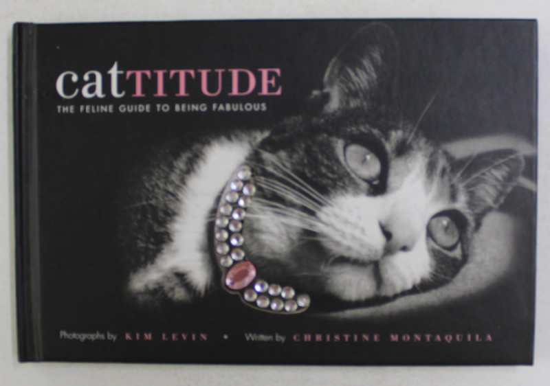 CATITUDE - TH EFELLINE GUIDE TO BEING FABULOUS , photographs by KIM LEVIN , 2005