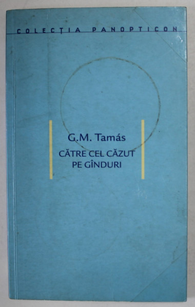 CATRE CEL CAZUT PE GANDURI de G.M.TAMAS , 2004, PREZINTA PETE SI URME DE UZURA