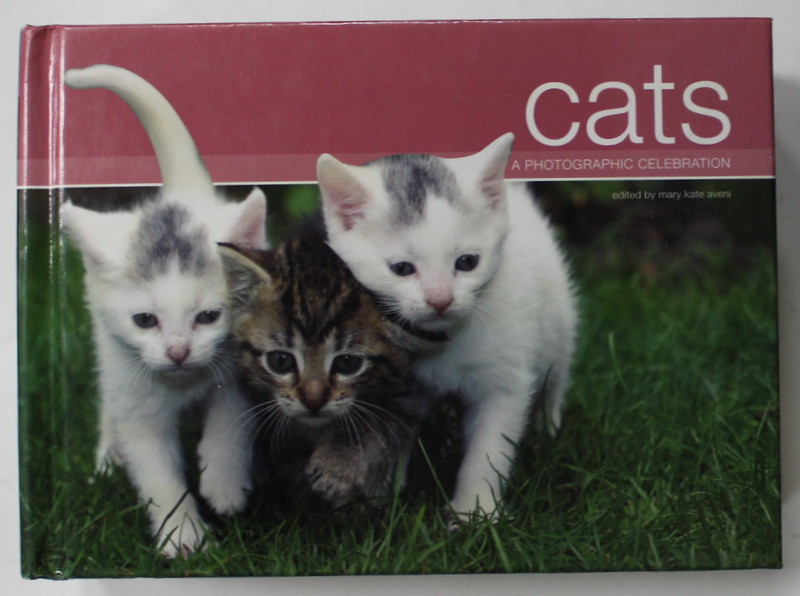 CATS , APHOTOGRAPHIC CELEBRATION , edited by MARY KATE AVENI , 2007